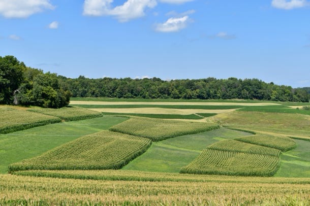 Artistry of contour farming