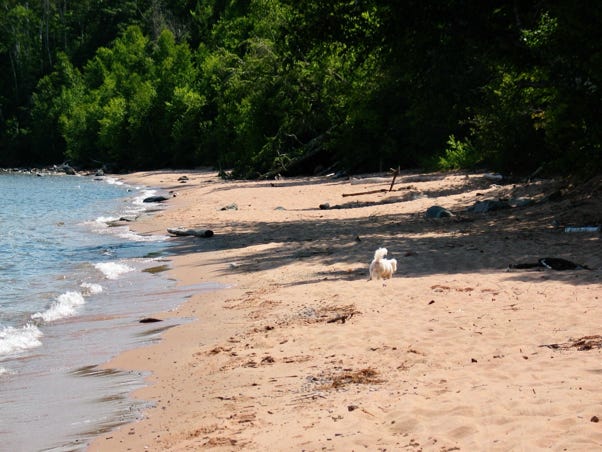 Raspberry Beach