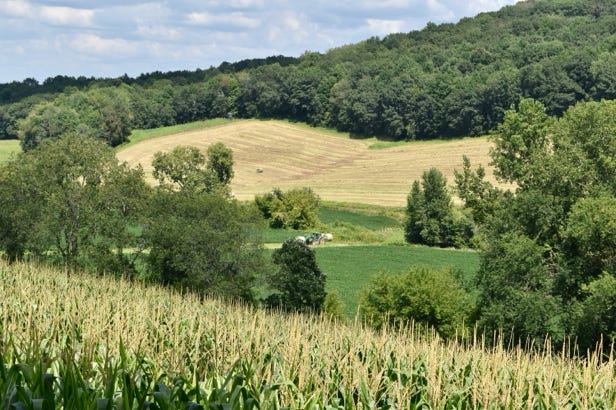 Turner Valley Road
